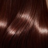 Image 4: Solo or Couples 75-Minutes Deluxe Scalp Therapy + Hair Treatment