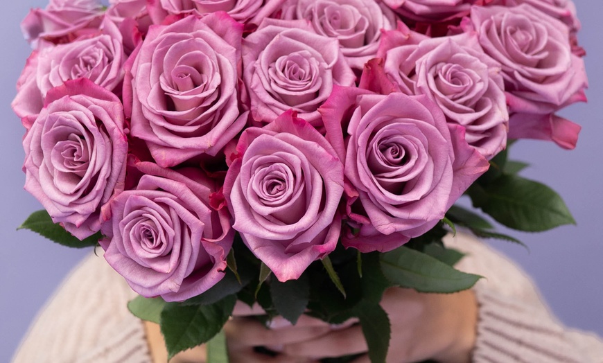 Image 17: *FLASH SALE* 24 or 36ct Roses Luxury Long Stem Rose Bouquet from Rose Farmers | Farm Fresh Roses (Up to 74% Off)