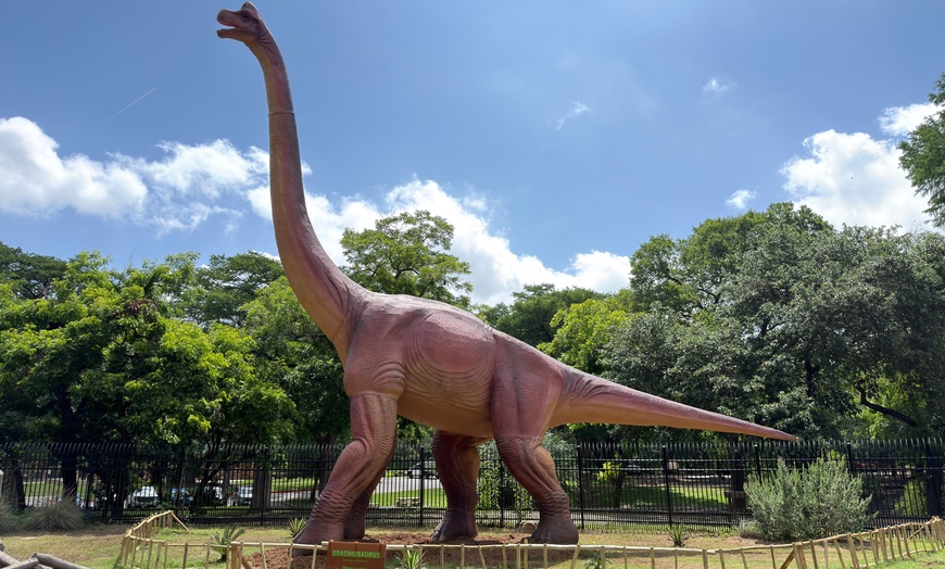 Image 4: San Antonio Zoo Discount Tickets & Savings!