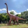 Image 4: San Antonio Zoo Discount Tickets & Savings!