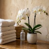 Image 2: Treat yourself to 20 or 40 Units of Botox with Consultation