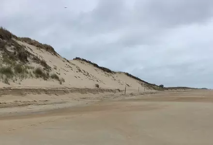 Cape Henlopen State Park