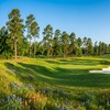 Image 2: Start Your Golf Journey: Five-Week Beginners Golf Class for One or Two