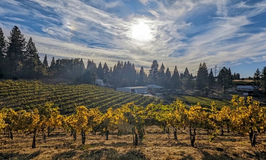 Image 4: Wine Tasting & Handcrafted Wines in a Historic Speakeasy for 1-6