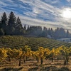 Image 4: Wine Tasting & Handcrafted Wines in a Historic Speakeasy for 1-6