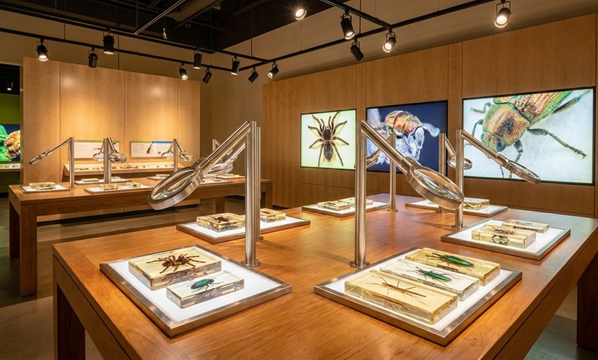 Image 6: Admission to Santa Fe's Bug and Reptile Museum 