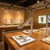 Image 6: Admission to Santa Fe's Bug and Reptile Museum 