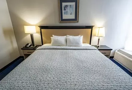 King Bed Standard View