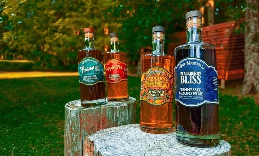 Image 6: Savor a Guided Distillery Tour & Tasting for 10 
