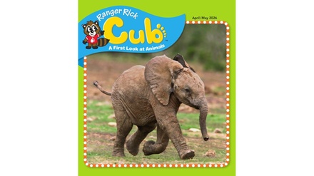 One-Year Subscription - Ranger Rick Cub