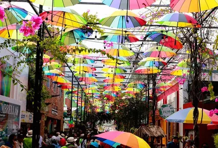 Calle de las Sombrillas (Umbrella Street)