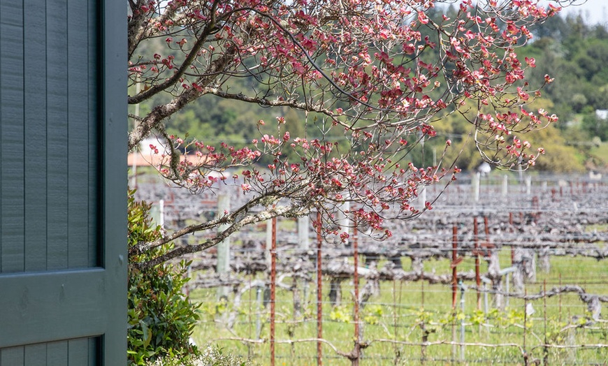 Image 7: Explore Wine Tasting and Charcuterie Pairing: Couples and Groups