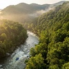 Image 2: Ocoee River Rafting – Middle Adventure Whitewater Trip