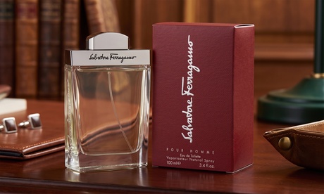 groupon Salvatore Ferragamo Eau De Toilette For Men 3.4 Fl. Oz. Men Spray Woody 3.4 Fl Oz Eau de Toilette in rgb