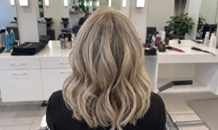 Single Process All Over Color with Haircut, Wash, and Blowout - Hair by Mike stephan