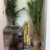 Image 5: Expert Custom or Oriental Massage for Solo or Couples at GK Massage