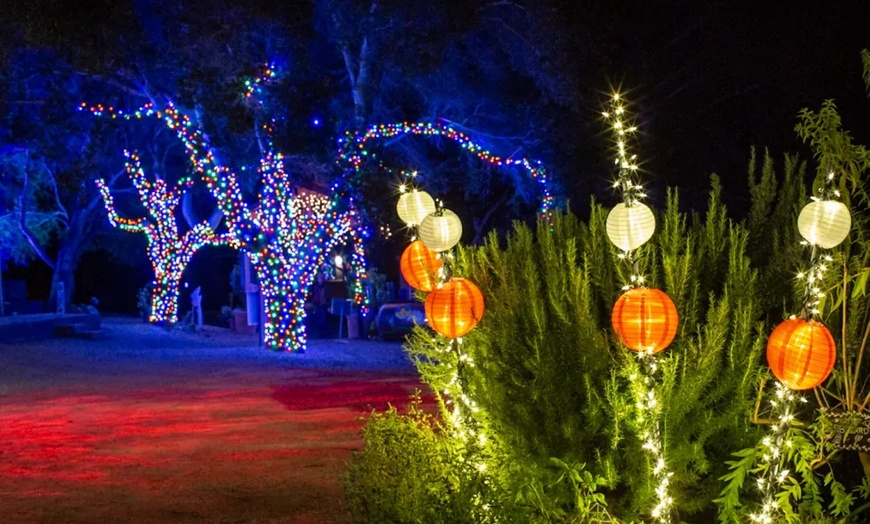 Image 7: Nature Lights: Immersive Outdoor Experience in San Luis Obispo