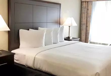 Standard King Room