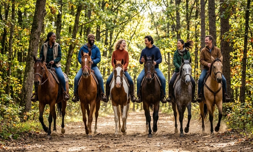 Image 2: Up to 30% Off on Horse Back Riding at Fox View Equestrian LLC