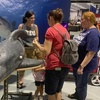 Image 3: SharkCon Admission Tickets