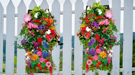 Hanging Flower Seed Bags With Soil Block-Perfect Mother s Day Gift 1-Pack Butterfly Bag