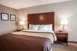 Quality Inn & Suites Orland Park - Chicago - Second Medium