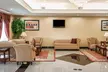 Comfort Suites near Indianapolis Airport - Second Medium