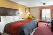 Comfort Inn Rosenberg - Second Medium