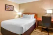 Econo Lodge Inn & Suites Durango - Second Medium