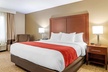 Comfort Inn & Suites Macon North I-75 - Second Medium