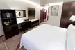 Holiday Inn Hotel & Suites Medica Sur by IHG - Second Medium