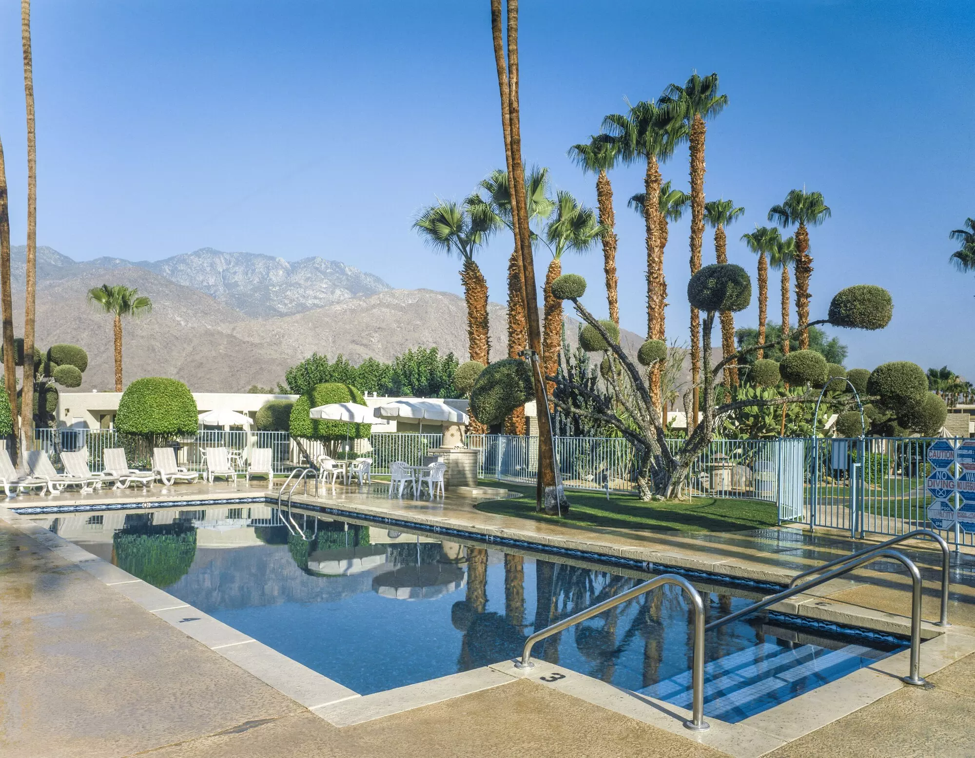 Desert Isle of Palm Springs - Primary Image