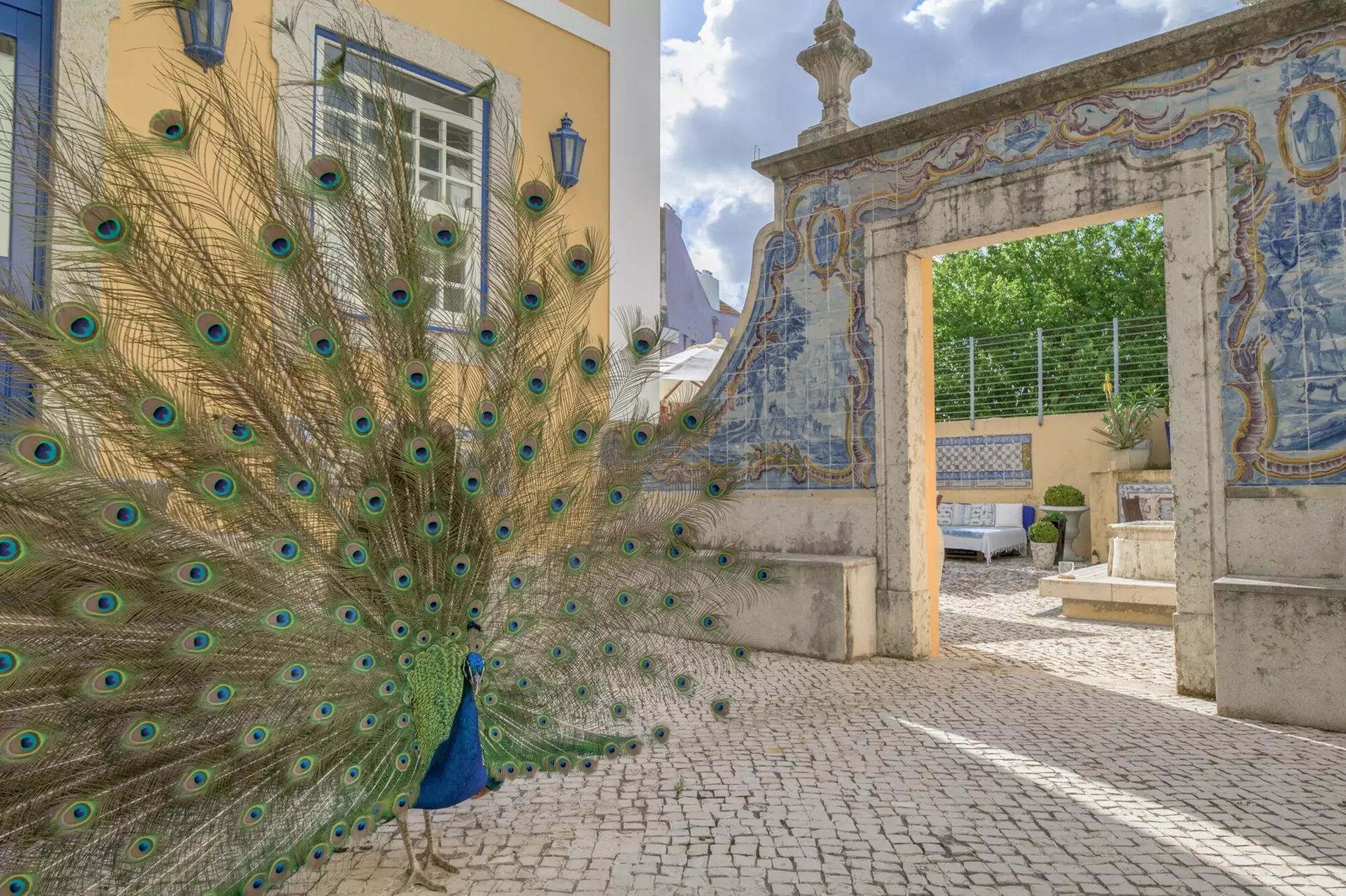 Solar Do Castelo, a Lisbon Heritage Collection - Primary Image