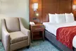 Comfort Inn and Suites San Francisco Airport North - Second Medium