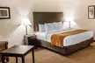 Comfort Suites - Second Medium