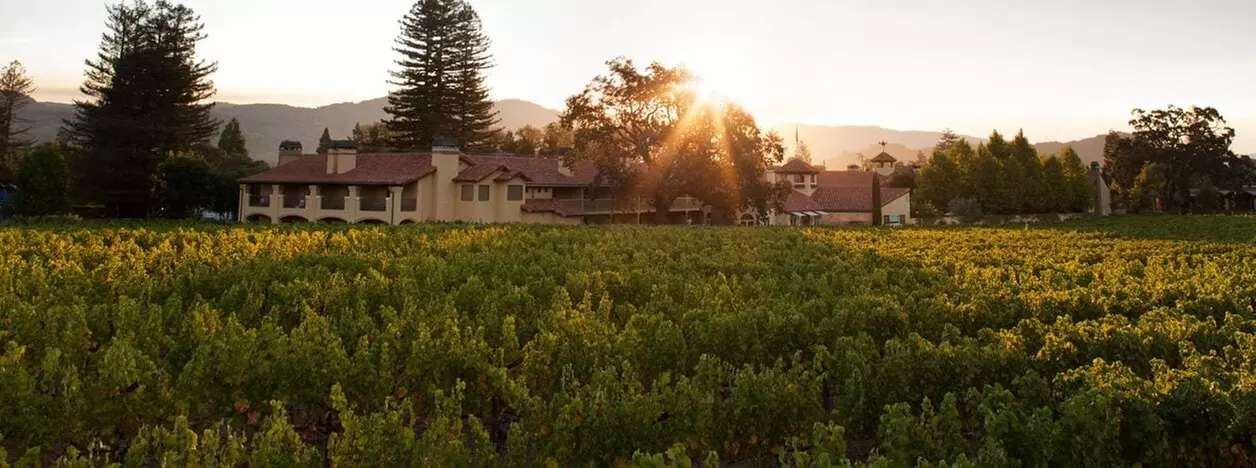 Napa Valley Lodge - Primary Image
