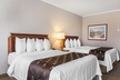 Quality Inn & Suites Downtown - Second Medium
