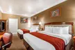 Comfort Inn and Suites San Francisco Airport North - Second Medium