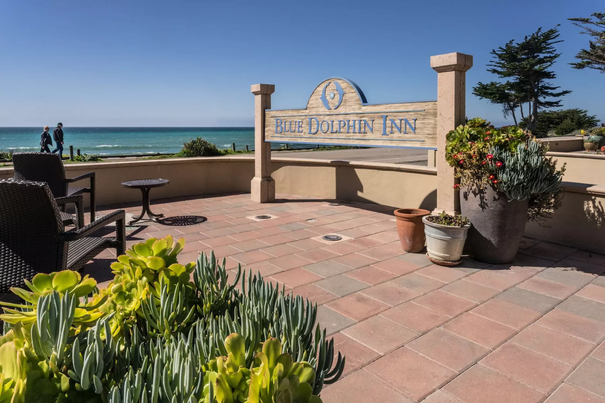 Blue Dolphin Inn - Primary Image