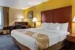 Quality Inn & Suites - Second Medium