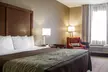Comfort Inn Amite - Second Medium