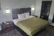 Quality Inn Grand Rapids Near Dowtown - Second Medium