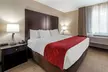 Comfort Suites Highlands Ranch Denver Tech Center Area - Second Medium