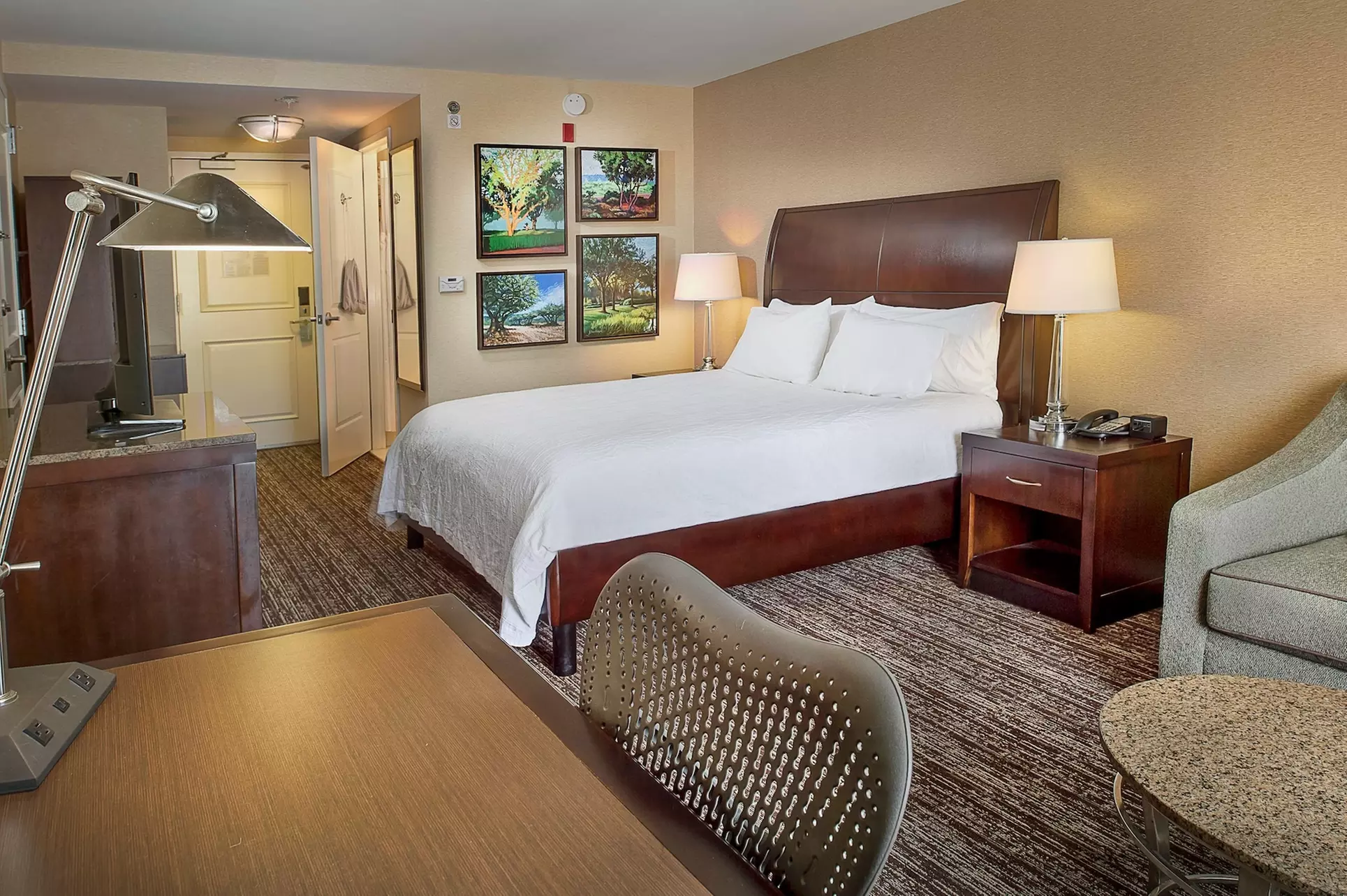 Hilton Garden Inn St. Louis Airport - Primary Image
