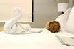 Best Western Plus Belize Biltmore Plaza - Second Medium