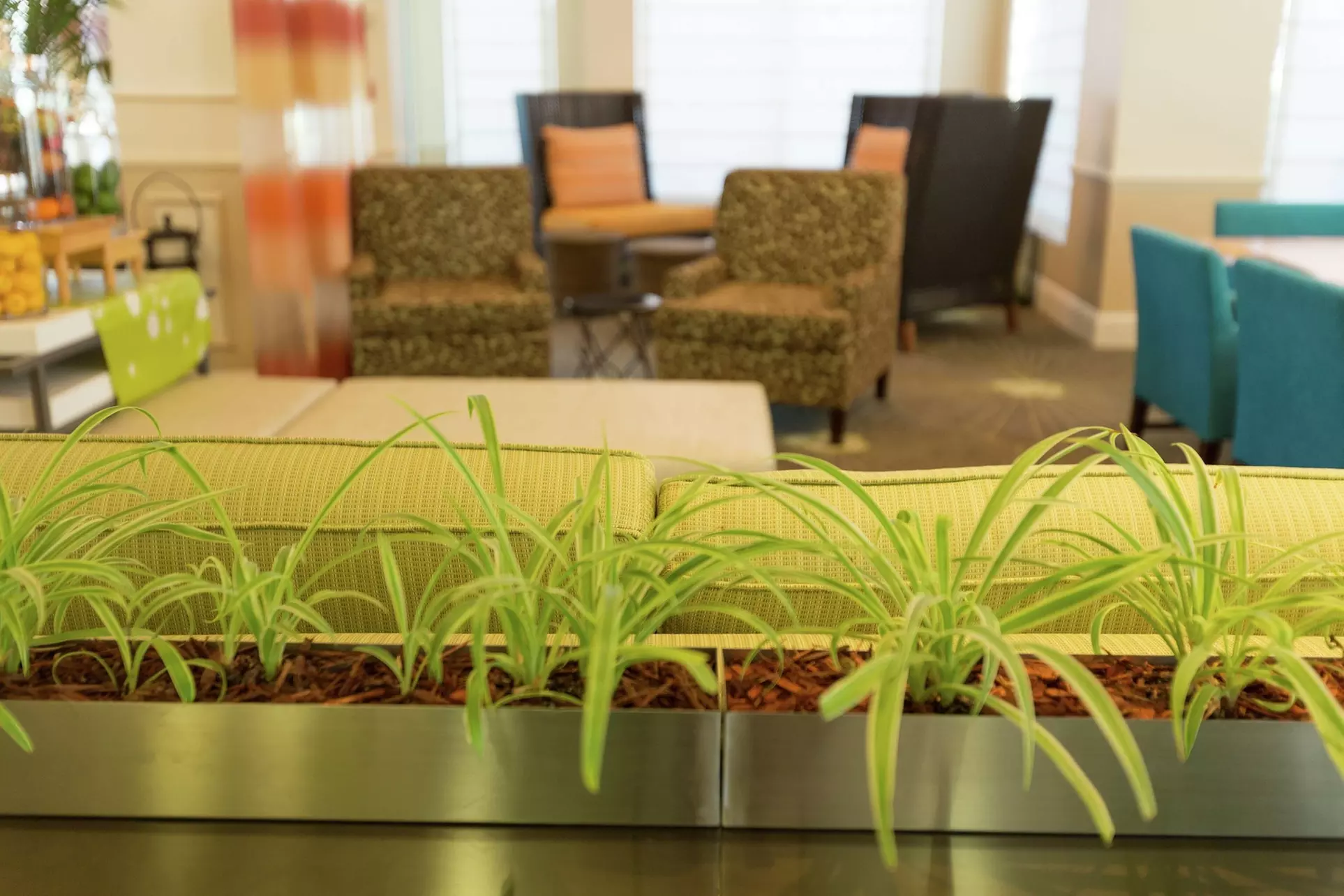 Hilton Garden Inn St. Augustine Beach - Primary Image