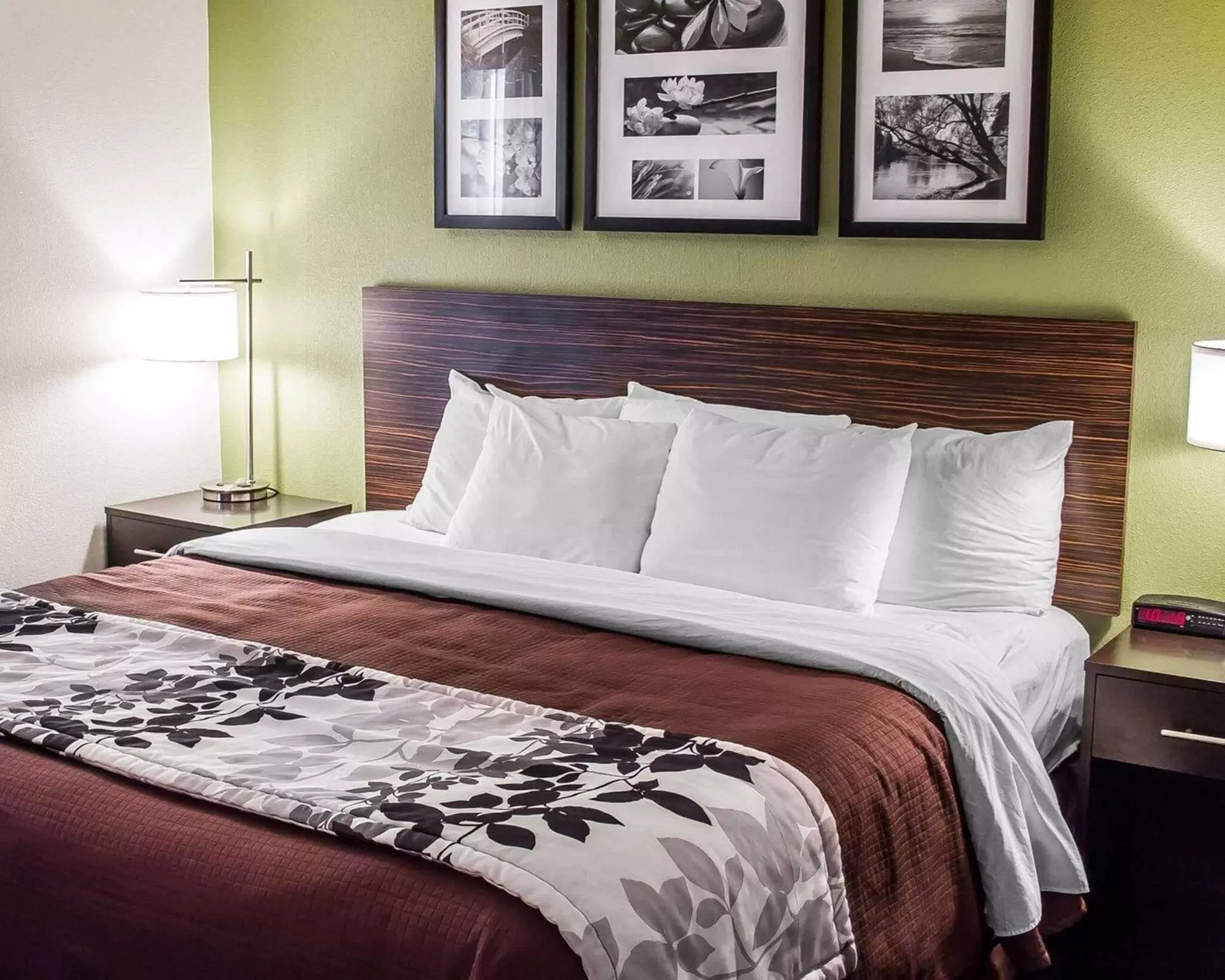 Sleep Inn & Suites Roseburg North Near Medical Center - Primary Image