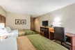 Quality Inn Summerville - Charleston - Second Medium