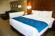 Comfort Suites El Paso Airport - Second Medium