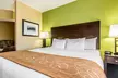 Comfort Suites Jackson I-40 - Second Medium